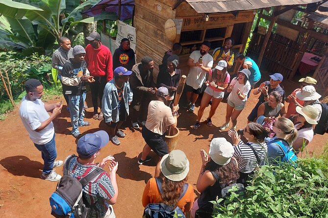 Materuni Waterfalls and Coffee Tour in Moshi - What the $70 price gets you