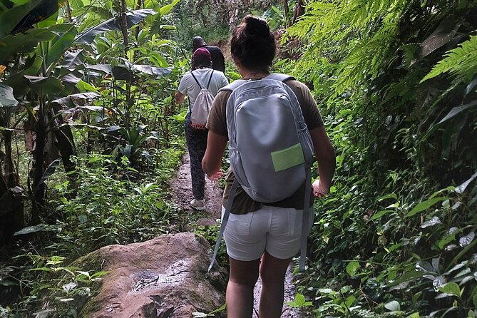Materuni Waterfalls and Coffee Tour in Moshi - Walking the 35-minute route to Materuni Falls