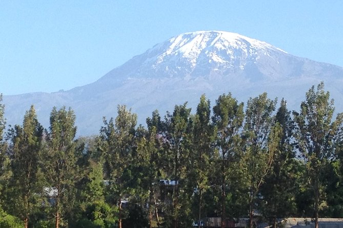 Materuni Waterfalls and Coffee Tour - Coffee From Farm to Cup