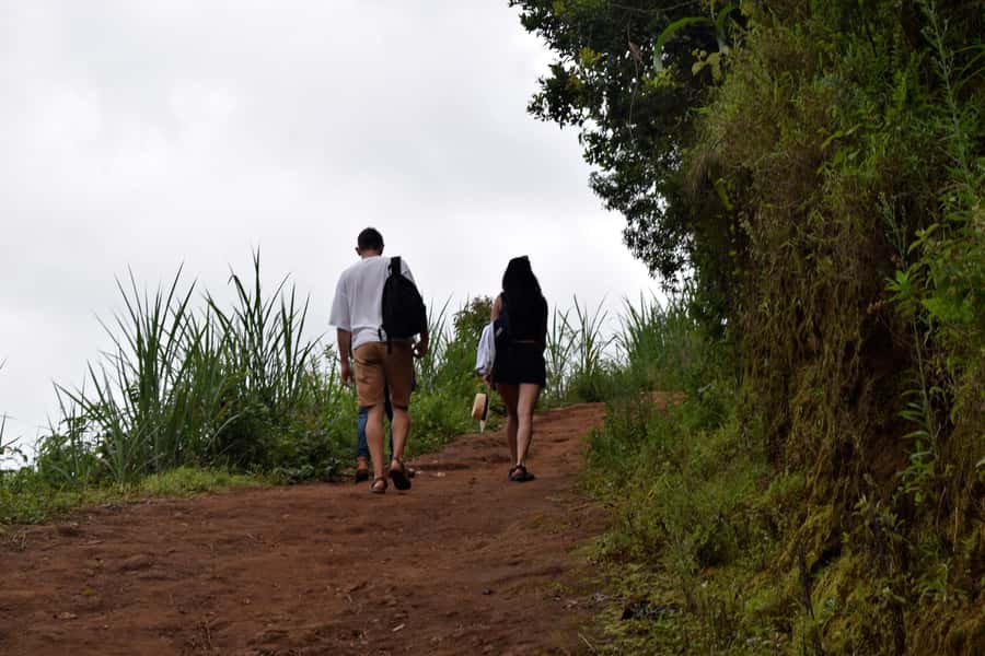 Materuni Waterfalls, Chemka Hot Springs, &/Or Coffee Tour - A full day from Moshi or Arusha