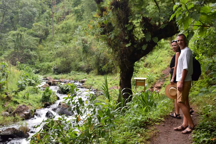 Materuni Waterfalls, Chemka Hot Springs, &/Or Coffee Tour - Chemka Springs are refreshing, not scalding