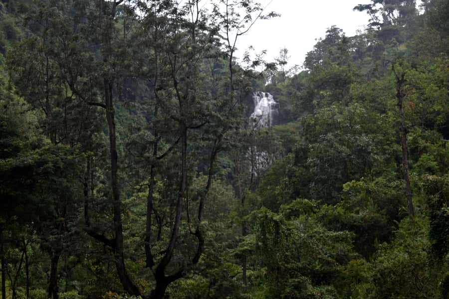 Materuni Waterfalls, Chemka Hot Springs, &/Or Coffee Tour - What the $70 includes