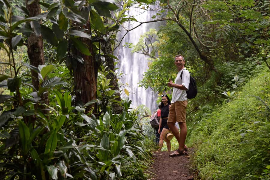 Materuni Waterfalls, Chemka Hot Springs, &/Or Coffee Tour - Booking details worth knowing
