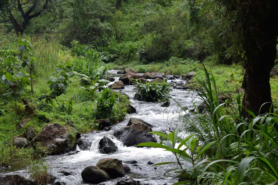 Materuni Waterfalls, Chemka Hot Springs, &/Or Coffee Tour - Should you book the Materuni and Chemka day?