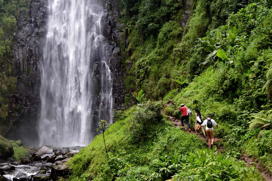 Materuni Waterfalls, Chemka Hot Springs, &/Or Coffee Tour - Hiking through Materuni Village to the falls