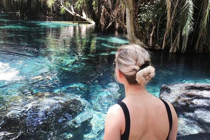 Materuni Waterfalls & Chemka Hotsprings Day Trip - The waterfall is the main visual reward