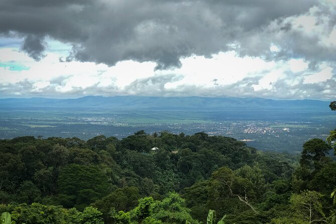 MATERUNI waterfalls, coffe tour & kikuletwa hotsprings - Swimming at Kikuletwa Hot Springs