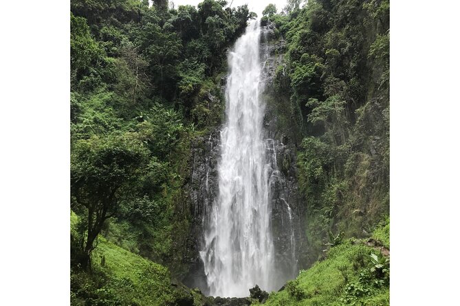 MATERUNI waterfalls, coffe tour & kikuletwa hotsprings - What the private format adds
