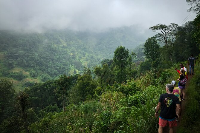 MATERUNI waterfalls, coffe tour & kikuletwa hotsprings - Weather, cancellation, and who should book