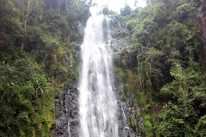 Materuni Waterfalls & Coffee making Cultural Tour | BURIGI CHATO SAFARIS LTD - Why Materuni works as a day away from Arusha