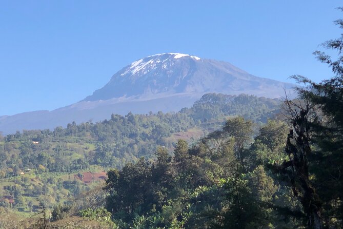 Materuni Waterfalls & Coffee Tour - Timing, pickup, and group size