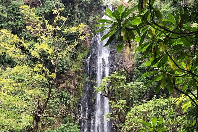 Materuni waterfalls coffee tour & Chemka hot springs Day trip - The rough ride to Kikuletwa Hot Springs