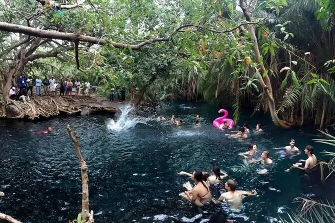 Materuni waterfalls coffee tour & Chemka hot springs Day trip - Swimming is the payoff, not a luxury spa visit