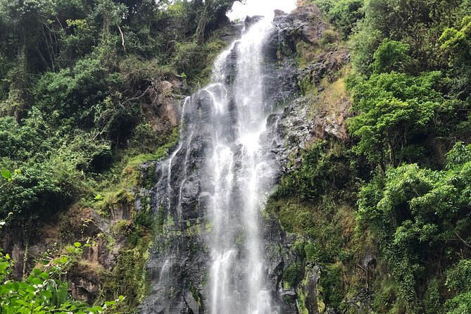 Materuni waterfalls coffee tour & Chemka hot springs Day trip - Timing, transport, and the shape of your day