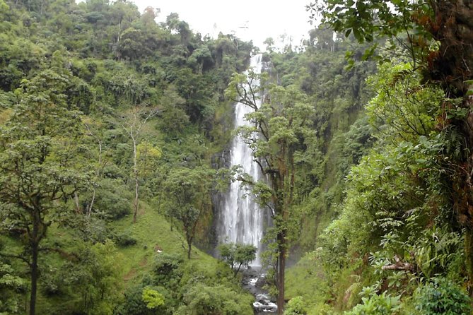 Materuni Waterfalls & Coffee Tour from Moshi - Lunch and what the $60 price covers