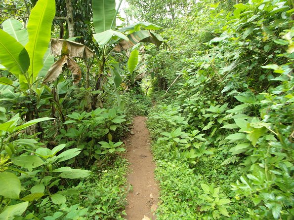Materuni Waterfalls & Coffee Tour from Moshi - Who will enjoy this Materuni day trip