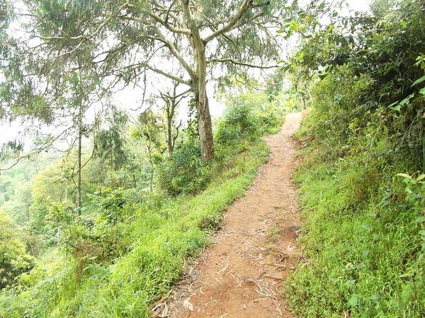 Materuni Waterfalls & Coffee Tour from Moshi - What makes the experience feel personal