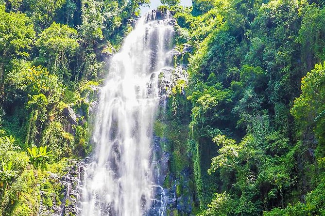 Materuni Waterfalls & Coffee Tour from Moshi - Walking through the hills and valleys