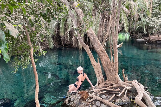 Materuni waterfalls,coffee tour & Kikuletwa(Chemka)Hot Springs - What the $100 price really covers