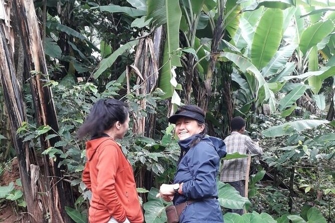 Materuni waterfalls,coffee tour & Kikuletwa(Chemka)Hot Springs - Timing, clothing, and practical planning