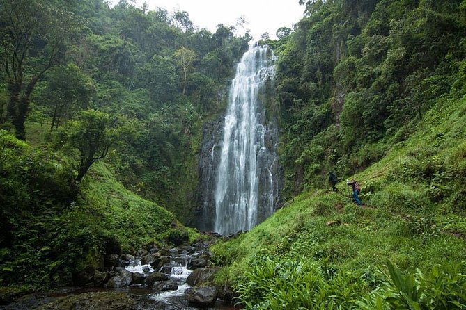 Materuni Waterfalls, coffee tour & Kikuletwa Hot Springs - Five details that shape the day