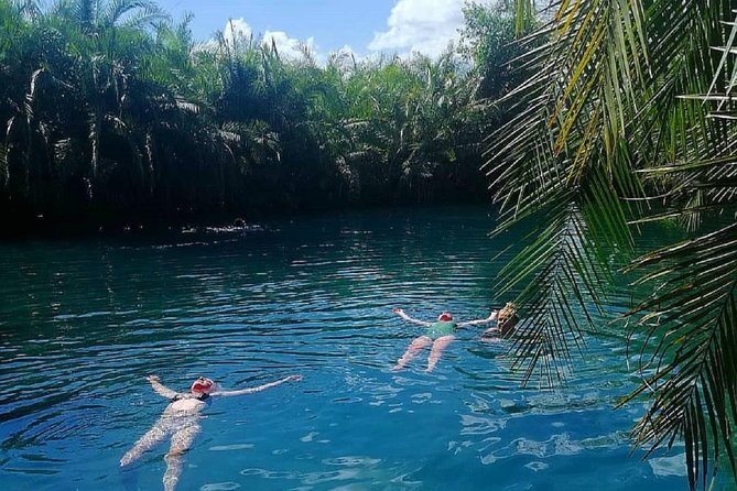 Materuni Waterfalls, coffee tour & Kikuletwa Hot Springs - A full day between Arusha, Moshi, and Kilimanjaro