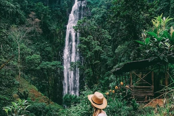 Materuni Waterfalls, coffee tour & Kikuletwa Hot Springs - Coffee the Chagga way