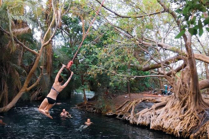 Materuni Waterfalls, coffee tour & Kikuletwa Hot Springs - The best way to judge the day