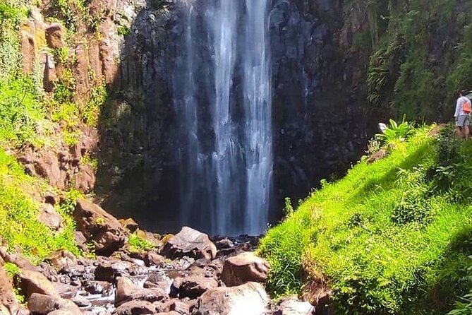 Materuni Waterfalls, Kikuletwa Chemka Hot springs, Coffee tour - What the $100 price includes