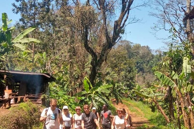 Materuni Waterfalls, Kikuletwa Chemka Hot springs, Coffee tour - Private touring and the level of independence