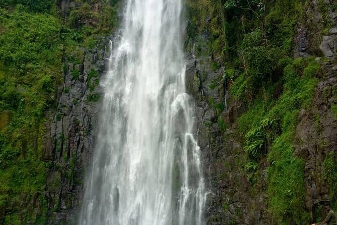 Materuni Waterfalls, Kikuletwa Chemka Hot springs, Coffee tour - The drive through Maasai country