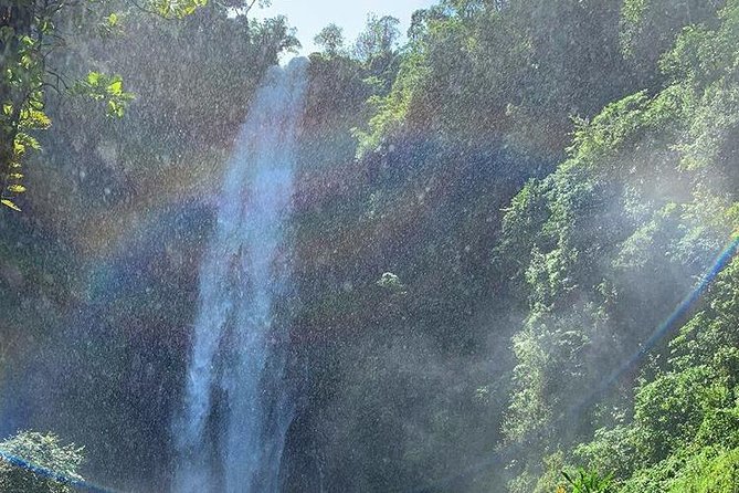 Materuni Waterfalls, Visiting Chagga Village, CoffeeTour Kikuletwa Hotsprings - A private day from Arusha or Moshi