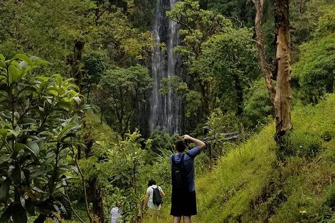Materuni Waterfalls, Visiting Chagga Village, CoffeeTour Kikuletwa Hotsprings - How demanding is the day?