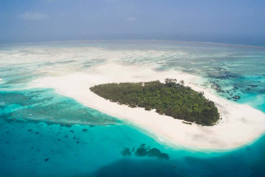 Mbudya island from Dar es salaam safari. - Coral reefs, swimming, and the limits of a beach day