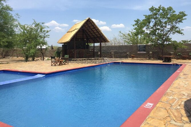 Mikumi National Park 2 Days/ 1 Night - Why Mikumi works for a two-day safari from Dar es Salaam