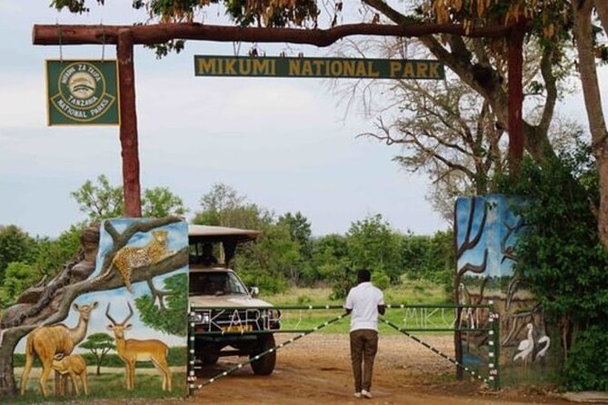 Mikumi National Park 2 Days/ 1 Night - Morning wildlife viewing and the Mkata Floodplain