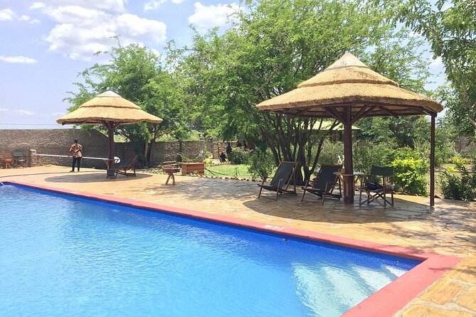 Mikumi National Park 2 Days/ 1 Night - Guide quality, comfort, and communication