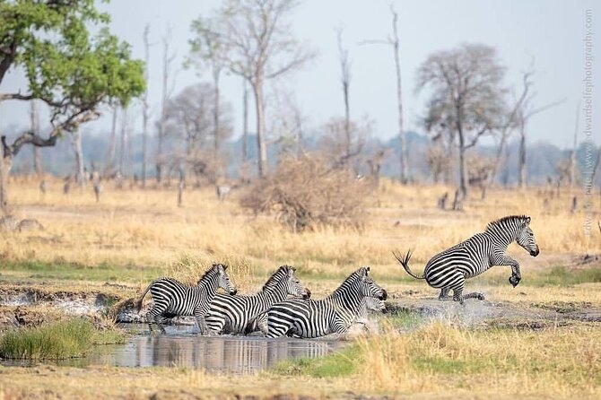 Mikumi National Park 3 Day Tour - Who should book this Mikumi safari?