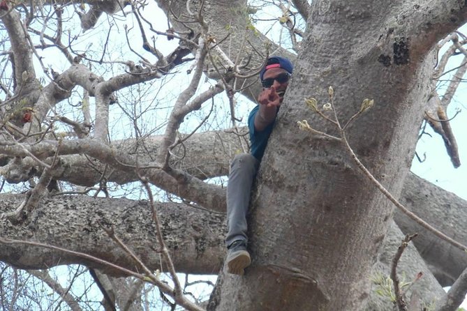 MIKUMI NATIONAL PARK - 3 Days - Wildlife expectations and better safari habits