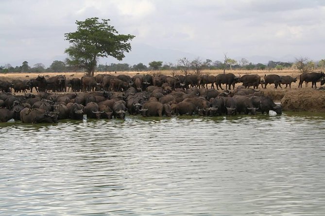 MIKUMI NATIONAL PARK - 3 Days - Day one: the five-hour road to Mikumi
