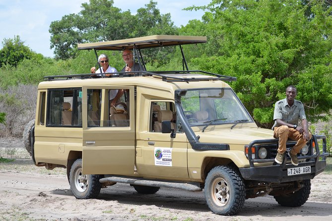 Mikumi National Park From Zanzibar Road Trip 3 Days 2 Nights - Why Mikumi Works for a Zanzibar Safari
