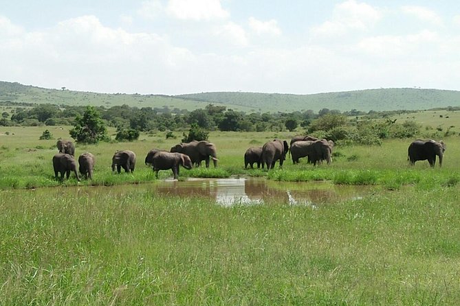 Mikumi national park full day tour from Dar es sallam - Is $370 per person fair value?