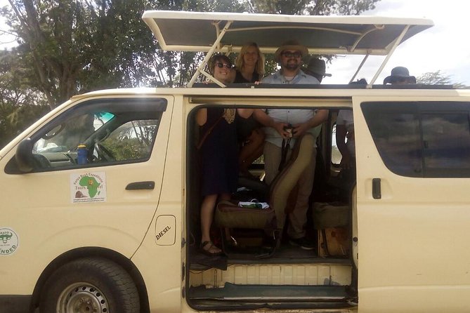 Mikumi national park full day tour from Dar es sallam - Who should book this private safari?