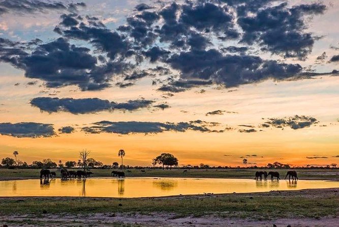 Mikumi National Park in a Day - A Day Tour from Morogoro - Breakfast, tea, lunch, and the value of the package