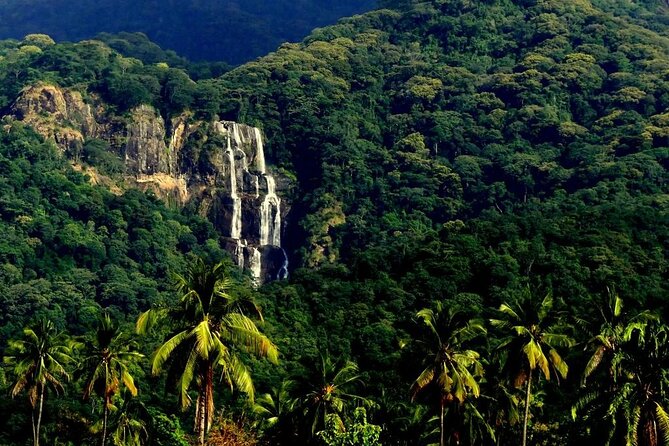 Mikumi National Park & Udzungwa Water Falls 3 Days Group Tour - Two Tanzanian parks in three demanding days