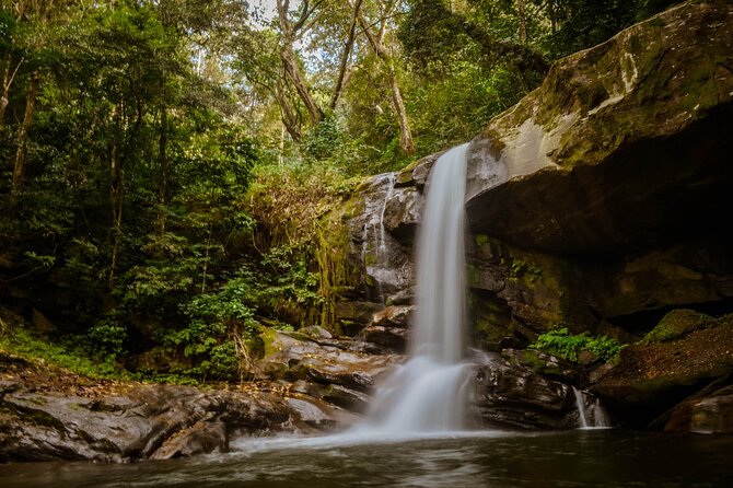 Mikumi National Park & Udzungwa Water Falls 3 Days Group Tour - Day 2: Udzungwa trails, waterfalls, and swimming