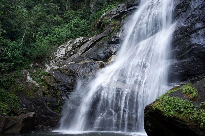 Mikumi National Park & Udzungwa Water Falls 3 Days Group Tour - The strongest part of the guiding service