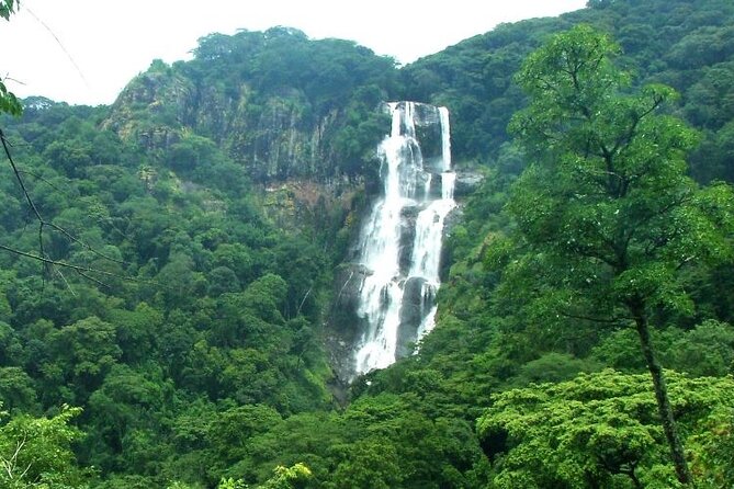 Mikumi National Park & Udzungwa Water Falls 3 Days Group Tour - Lunch beneath Mikumi’s famous baobabs