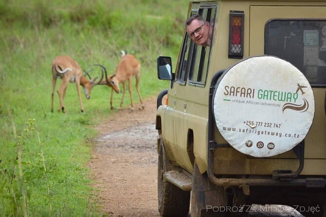 Mikumi Safari Tour: Day Trip Return Flight From Zanzibar - Lunch, snacks, and what is included