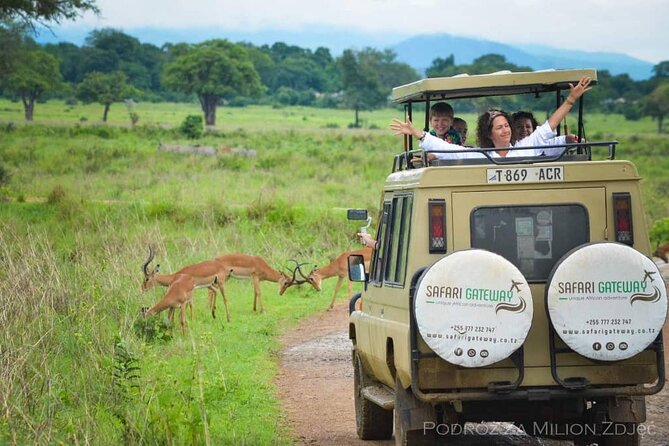 Mikumi Safari Tour: Day Trip Return Flight From Zanzibar - Who should book this Mikumi day trip?